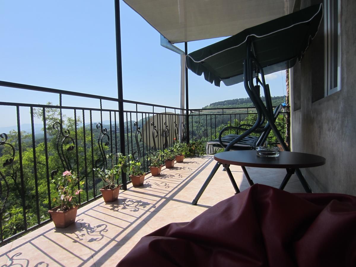 Гостевой дом Zurabashvili Guest House Сигнахи-41