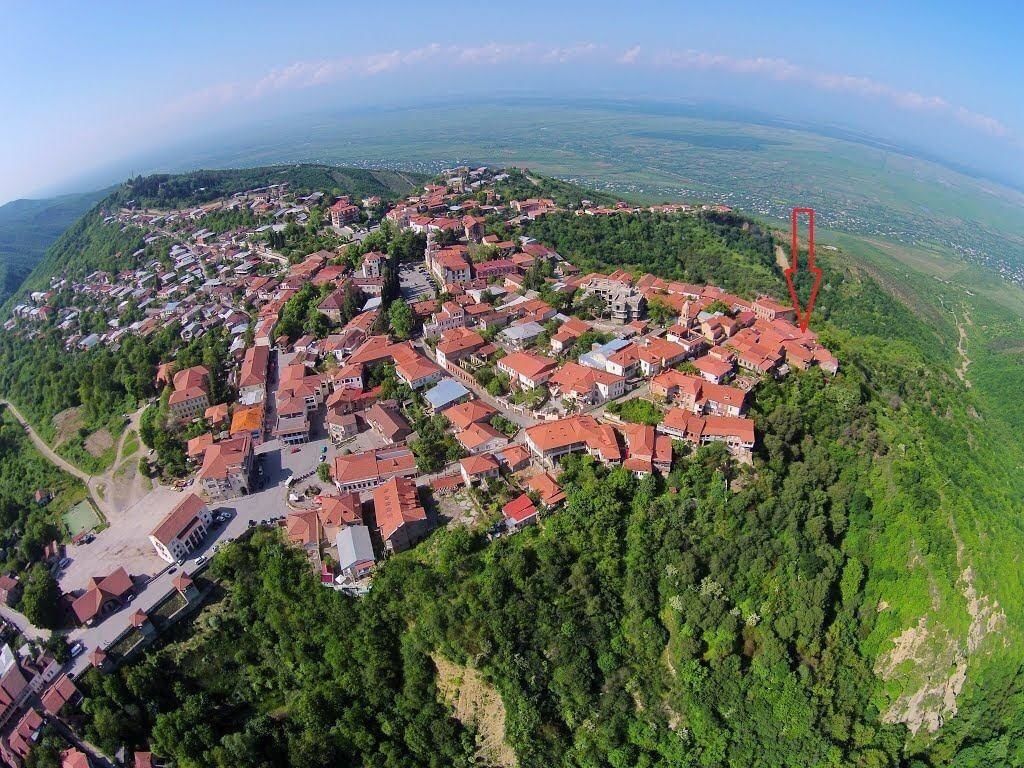 Гостевой дом Zurabashvili Guest House Сигнахи-47