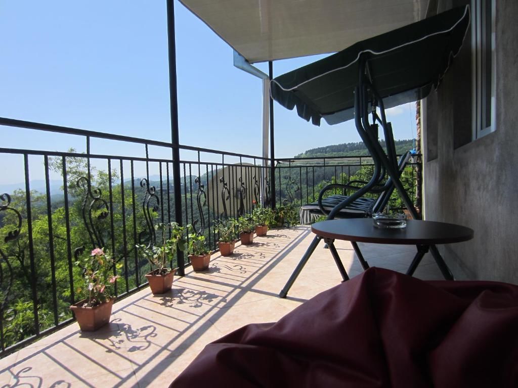 Гостевой дом Zurabashvili Guest House Сигнахи-58