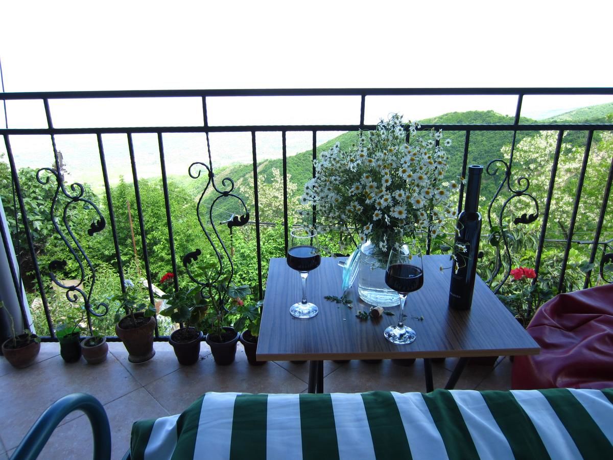 Гостевой дом Zurabashvili Guest House Сигнахи-9