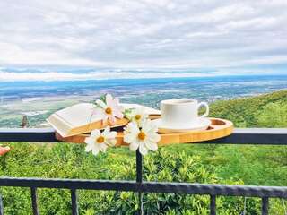 Гостевой дом Zurabashvili Guest House Сигнахи-1